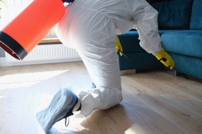 Fumigation Service in Wilmington, NC