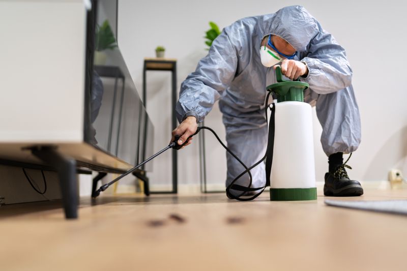 Residential Fumigation in Phoenix, AZ